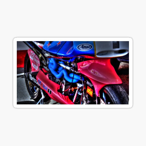 The Race Bike Sticker