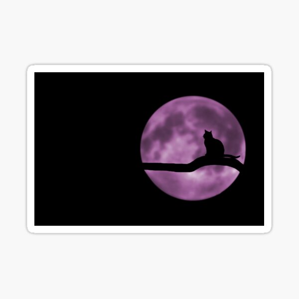 Black Cat Silhouette Sticker