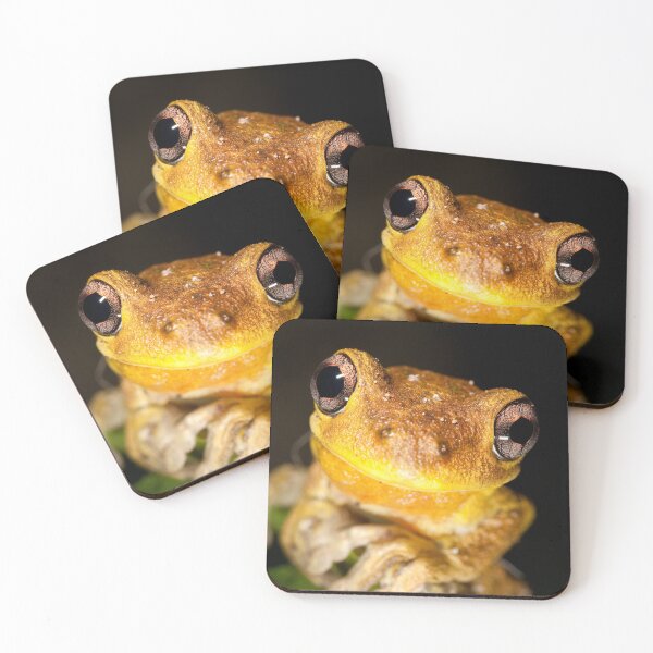 Item preview, Peron's Tree Frog designed and sold by DavePinsonPhoto.