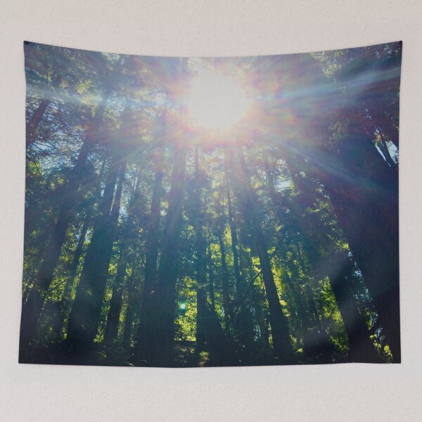 Item preview, Mill Valley Tree Canopy  designed and sold by Sofia Yaron.