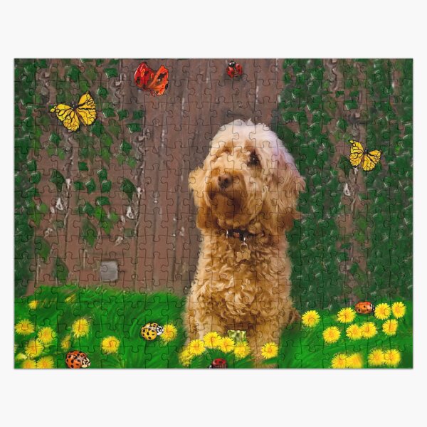 cavapoo jigsaw puzzle