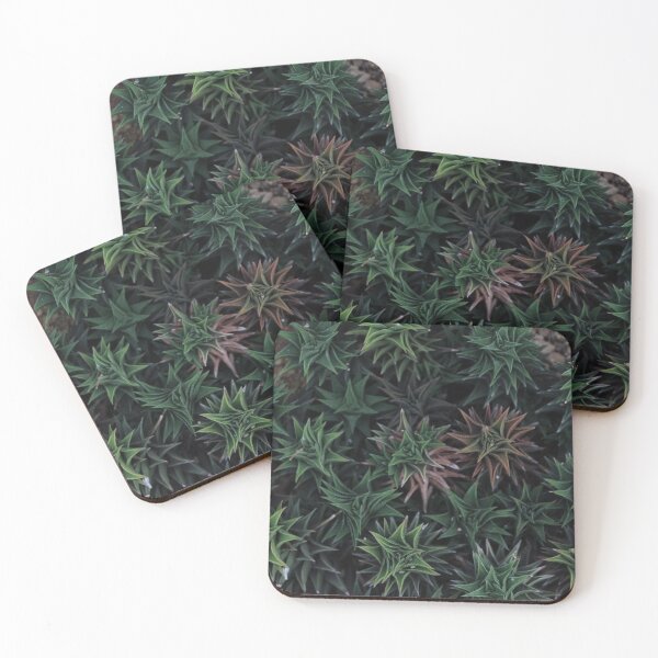 Item preview, Green Haworthia designed and sold by Photonotables.