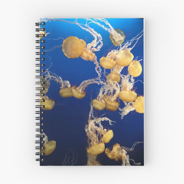 Item preview, Lion's Mane Jellies designed and sold by Photonotables.