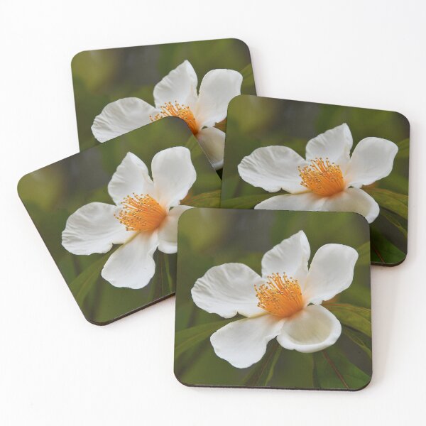Item preview, Franklin Tree Blossom _ September  designed and sold by Poete100.