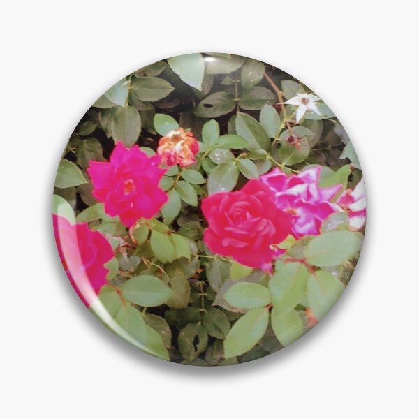 Item preview, Bush Rose.  designed and sold by MerciMe.