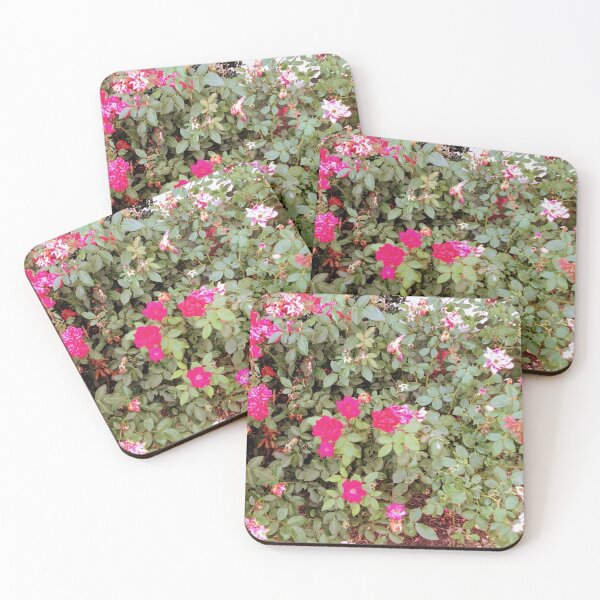 Item preview, Bush Rose.  designed and sold by MerciMe.