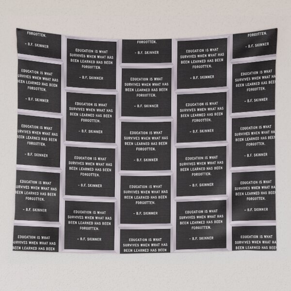 Item preview, Education BF skinner quote letterboard designed and sold by bcbayay designs.