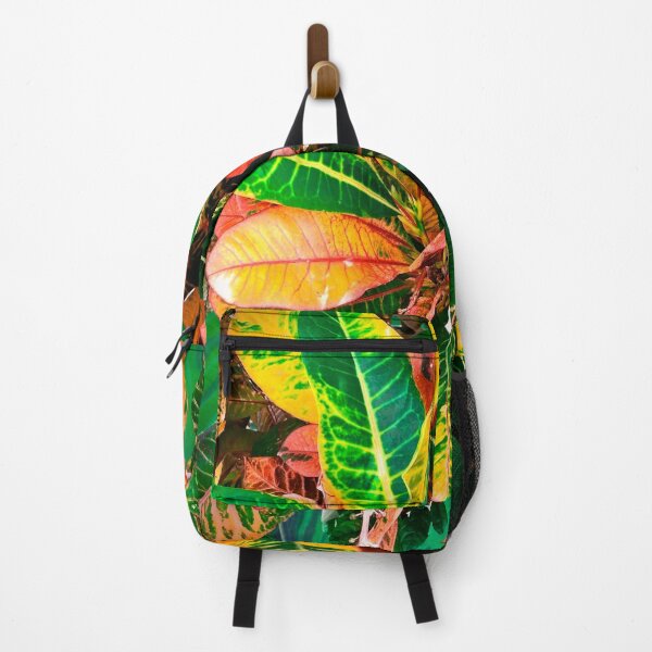Item preview, Exotic Green,Yellow, Red Leaves Croton Plants designed and sold by joseech.