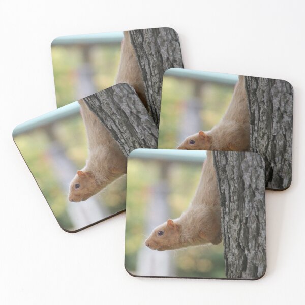 Item preview, Blondie the Albino Fox Squirrel designed and sold by swalestudio.
