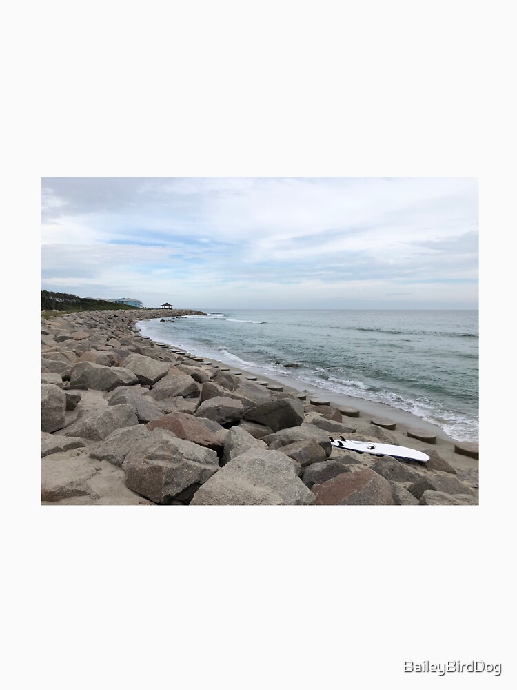 Surfboard On The Rocks by BaileyBirdDog