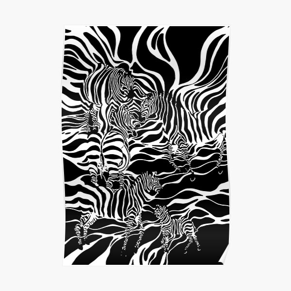 zebra surreal illustration black and white Poster