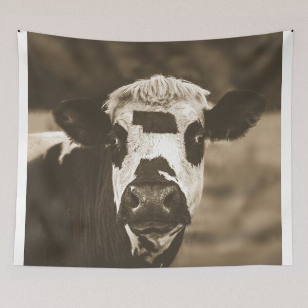 Item preview, Antique Nebraska Cow Ranch Farm Huskers designed and sold by CattlettArt.