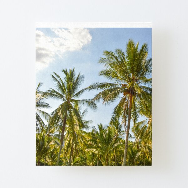Palm Trees, Port Douglas - Tropical Paradise by drone Canvas Mounted Print