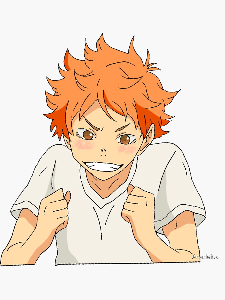 shoyo hinata smile