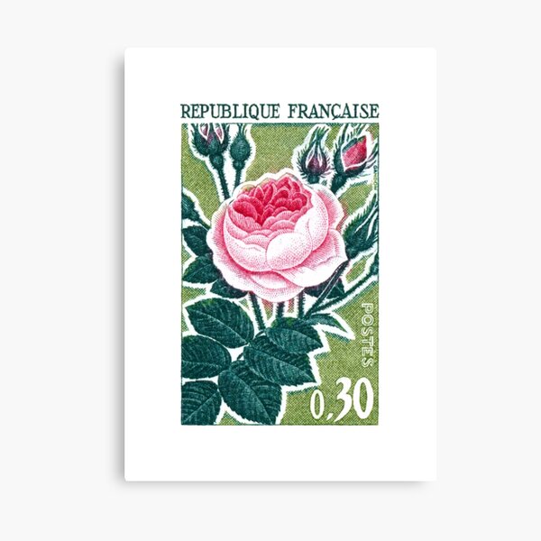 1962 FRANCE Old Rose Postage Stamp Canvas Print