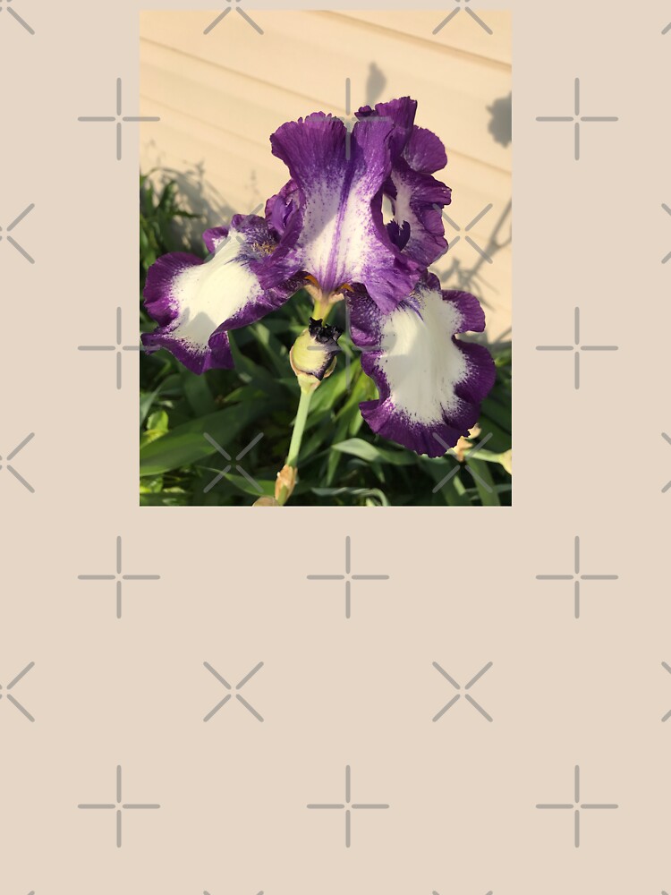 Mother's Garden-The American Classis-Iris by Matlgirl