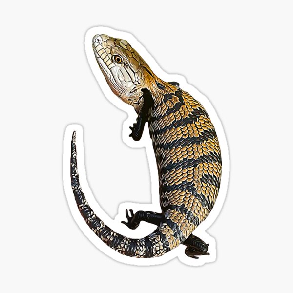 Item preview, Blue Tongue Lizard Skink designed and sold by Elarex.