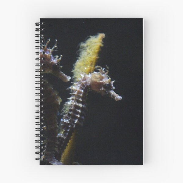 Item preview, Seahorses designed and sold by Photonotables.