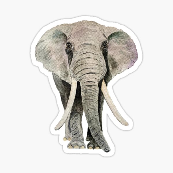 Item preview, Indian Elephant designed and sold by SassieDesign.