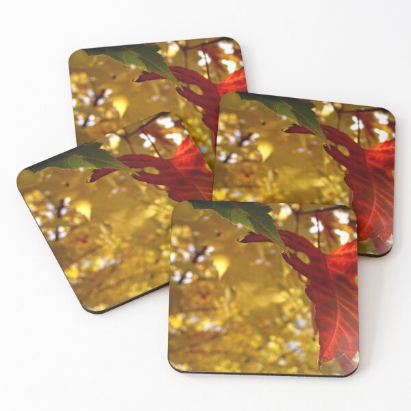 Item preview, Green red and yellow autumn leaves in sunlight designed and sold by olivierbradette.