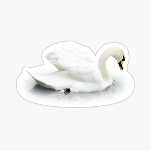 Captive Angel Sticker