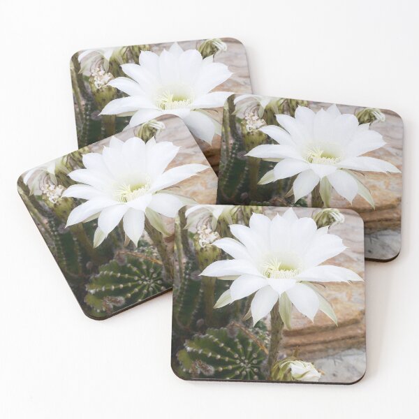 Item preview, White Cactus Flower designed and sold by TheMadDabbler.