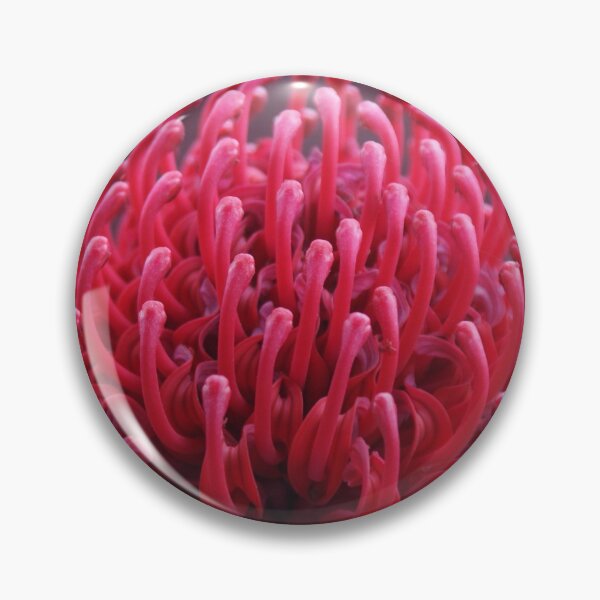 Item preview, Waratah designed and sold by Rochelle Buckley.