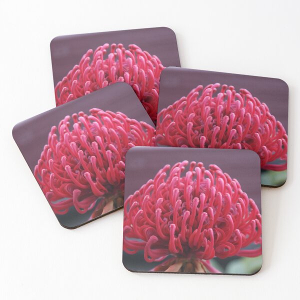 Item preview, Waratah designed and sold by Rochelle Buckley.