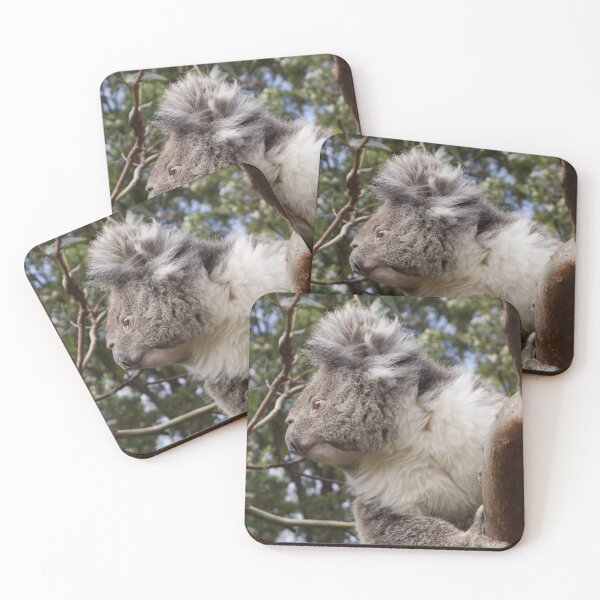 Item preview, Otway Koala designed and sold by Rochelle Buckley.