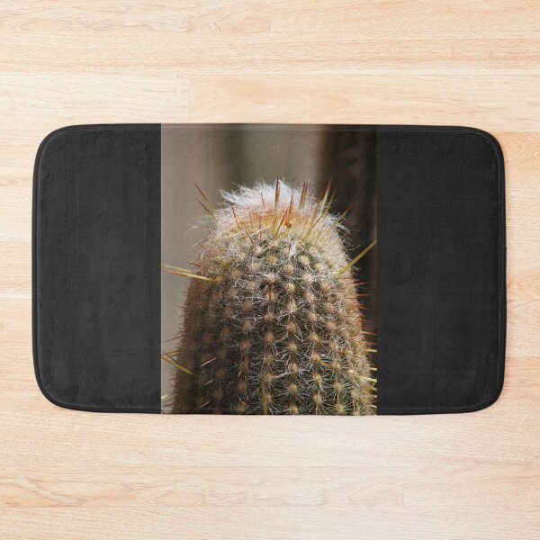 Item preview, Cactus Closeup, from Mt Coottha designed and sold by Ransyn Art.