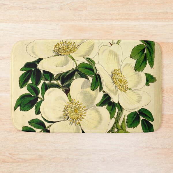 Item preview, Curtis's botanical magazine (Tab. 5200) (9444691428) designed and sold by EsotericBotanic.