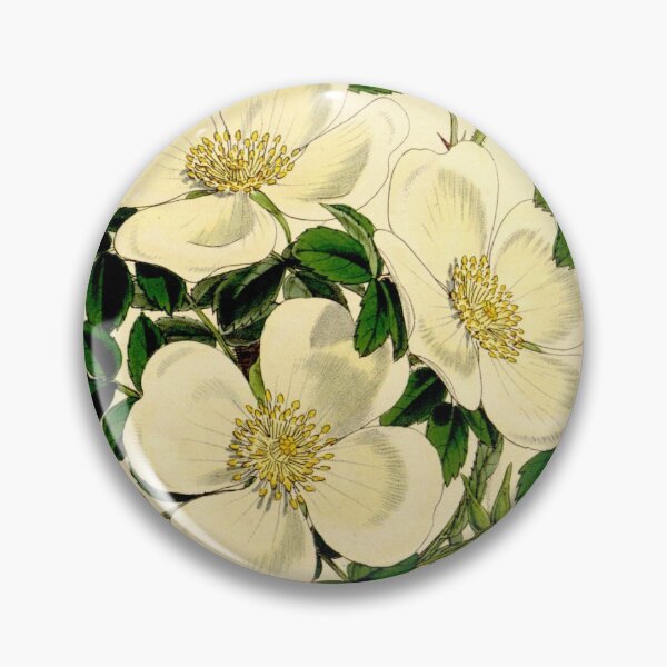 Item preview, Curtis's botanical magazine (Tab. 5200) (9444691428) designed and sold by EsotericBotanic.