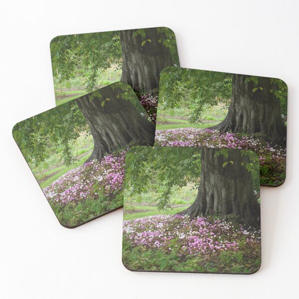 Item preview, Autumn Cyclamen  designed and sold by Alisonchambers2.