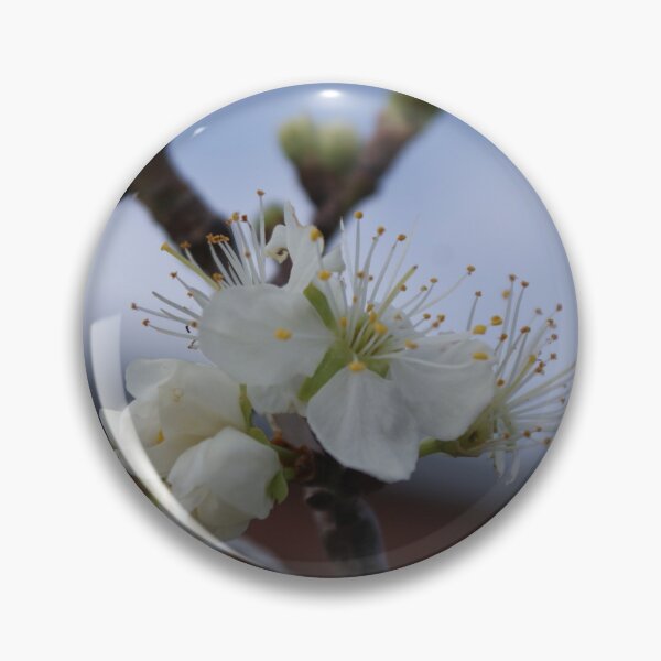 Item preview, Soft Blossom designed and sold by Rochelle Buckley.