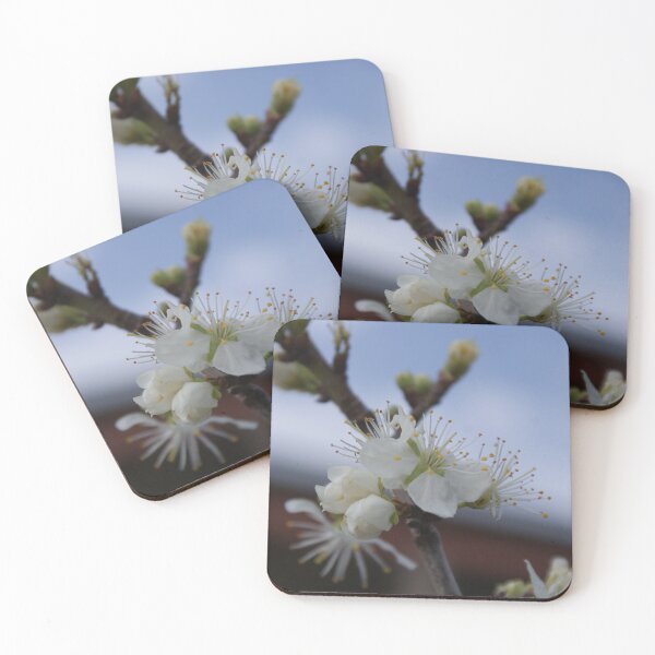 Item preview, Soft Blossom designed and sold by Rochelle Buckley.
