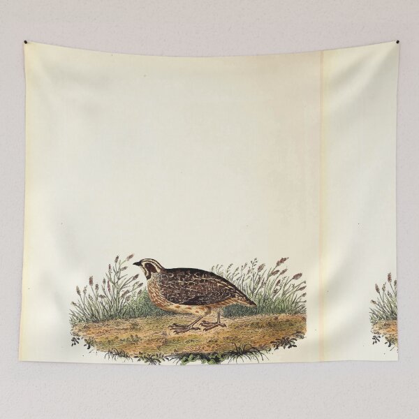 Item preview, British ornithology  being the history with a coloured representation of every known species of British birds George Graves 1821 075 designed and sold by WetdryvacRB01.
