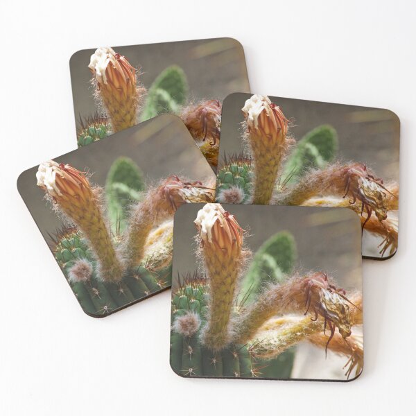 Item preview, Partially flowered Cactus: Day of The Triffids? designed and sold by Ransyn Art.