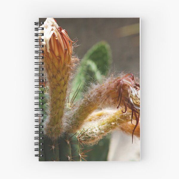Item preview, Partially flowered Cactus: Day of The Triffids? designed and sold by Ransyn Art.