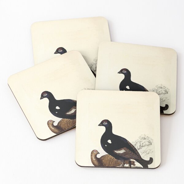 Item preview, British ornithology  being the history with a coloured representation of every known species of British birds George Graves 1821 076 designed and sold by WetdryvacRB01.