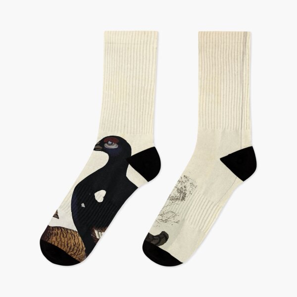 Item preview, British ornithology  being the history with a coloured representation of every known species of British birds George Graves 1821 076 designed and sold by WetdryvacRB01.