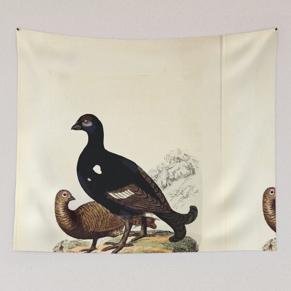 Item preview, British ornithology  being the history with a coloured representation of every known species of British birds George Graves 1821 076 designed and sold by WetdryvacRB01.