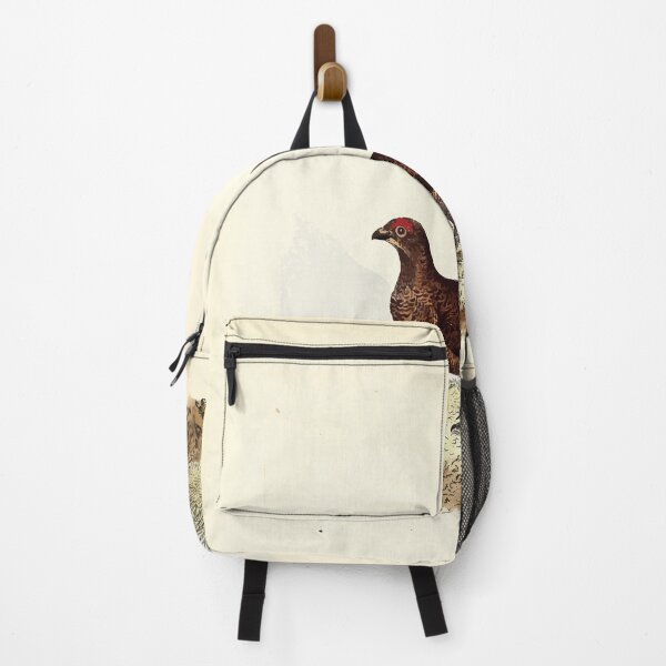 Item preview, British ornithology being the history with a coloured representation of every known species of British birds George Graves 1821 077 designed and sold by WetdryvacRB01.