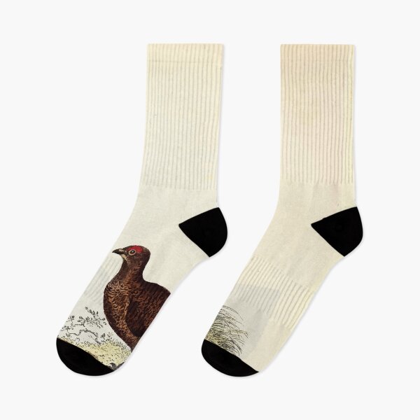 Item preview, British ornithology  being the history with a coloured representation of every known species of British birds George Graves 1821 077 designed and sold by WetdryvacRB01.