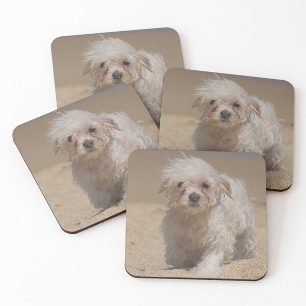 Item preview, Looking a bit windswept designed and sold by Rochelle Buckley.
