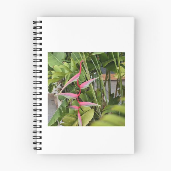 Item preview, Beautiful plant design. designed and sold by Honeyjassi.