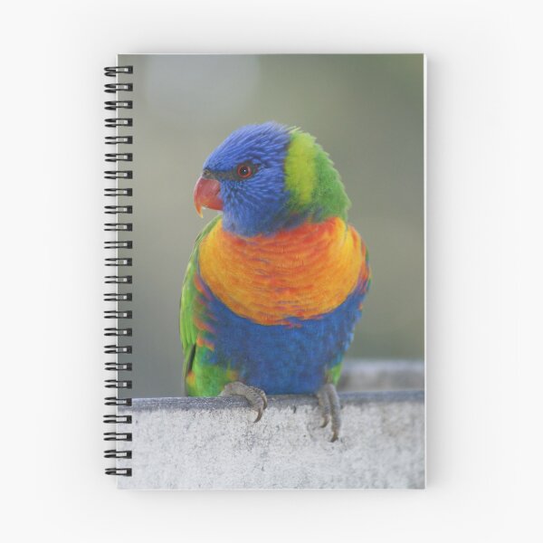 Item preview, True Colours designed and sold by Rochelle Buckley.