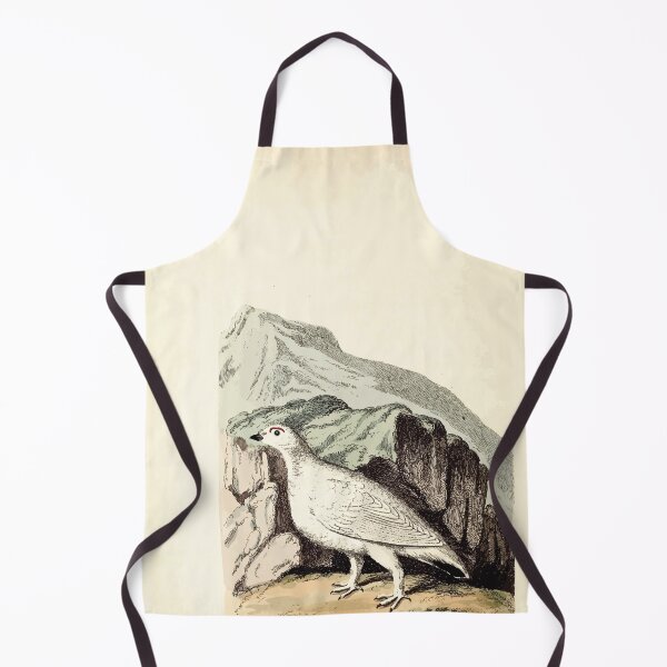 Item preview, British ornithology  being the history with a coloured representation of every known species of British birds George Graves 1821 078 designed and sold by WetdryvacRB01.