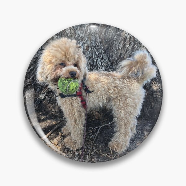 Item preview, Raffies favourite ball! designed and sold by Roz McQuillan Fine Art & Photography.