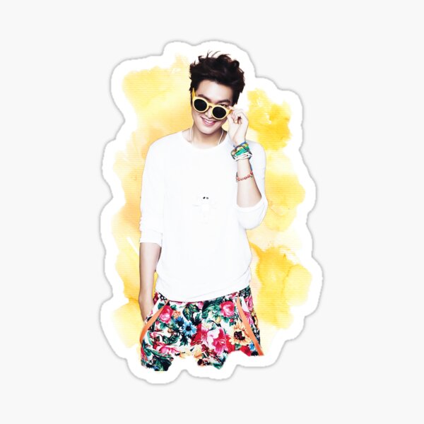 Lee Min Ho Sticker