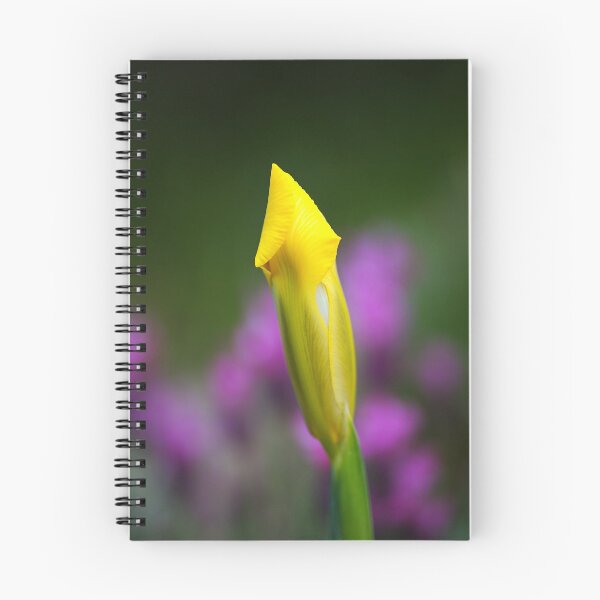 Item preview, Iris Bud Yellow Glow designed and sold by Joy Watson - Natural Light Photography .